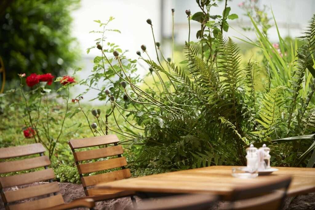 Restaurant Bienengarten Dielsdorf